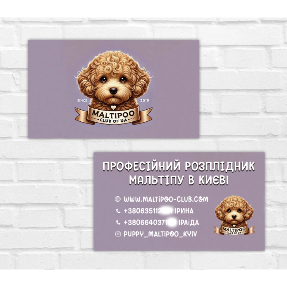 Визитка - питомник мальтипу