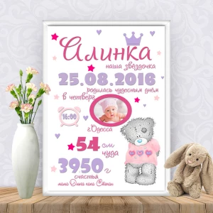 Изображение товара -  Метрика “Застенчивая Тедди с фото“-