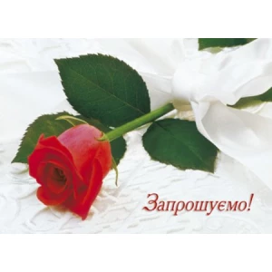 Изображение товара -  Запрошення