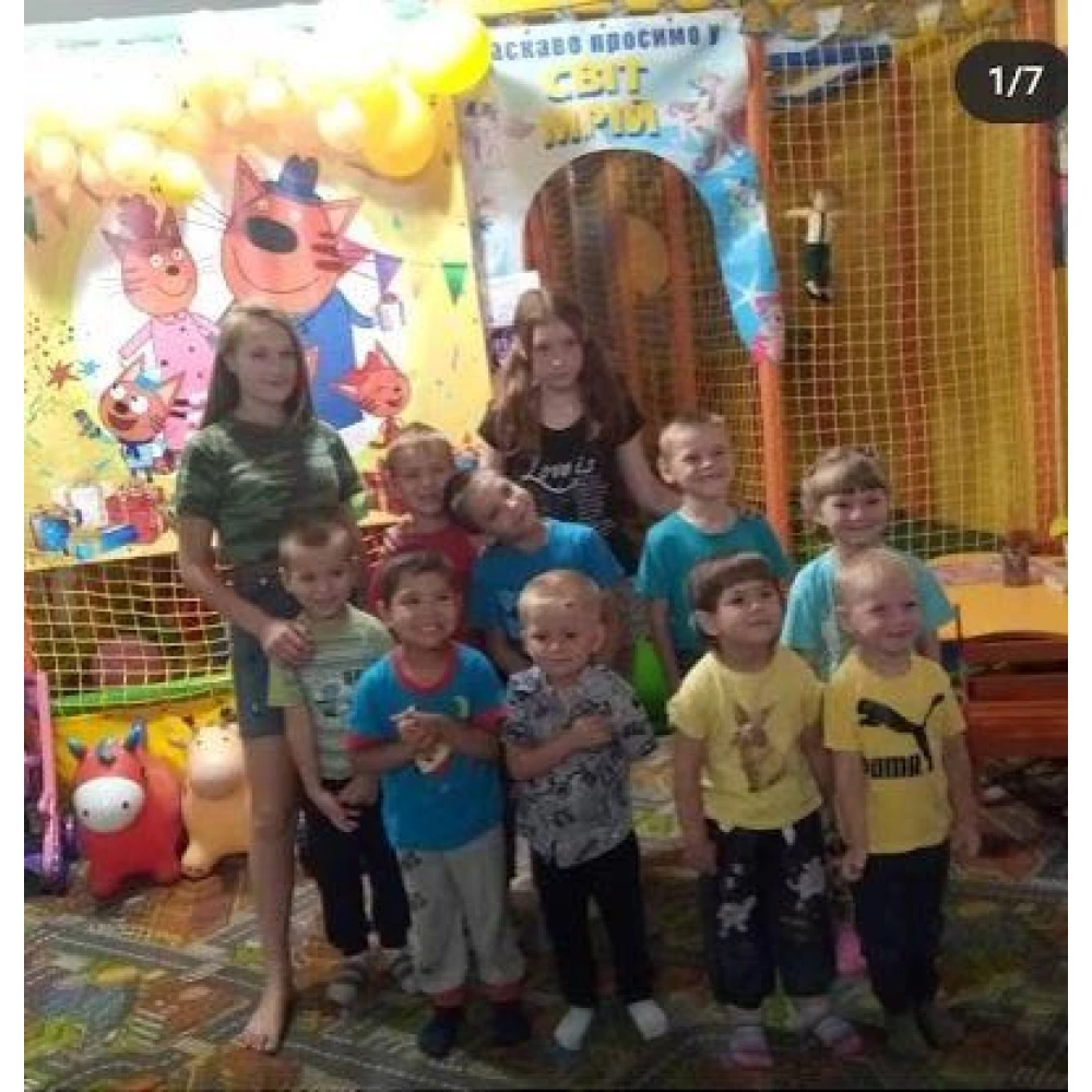 Баннер 2х2м “Коты“ - Фотозона (виниловый) на День рождения (Без каркаса) - Украинский