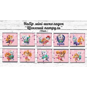 Изображение товара -  Мини шоколадки  “Щенячий патруль розовый. Скай и Эверест“ 10шт/набор (шокобокс)