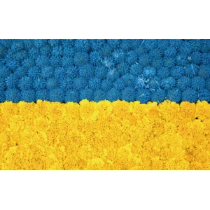 Изображение товара -  Фото-фон виниловый патриотический 120×75 см “Флаг Украины - Цветы“