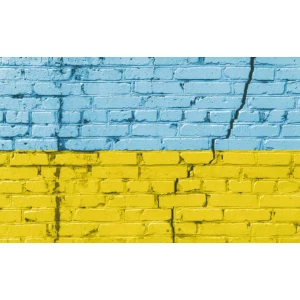 Изображение товара -  Фото-фон виниловый патриотический 120×75 см “Флаг Украины: Кирпичная стена - 1“