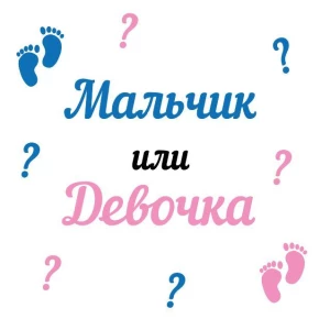 Изображение товара -  Наклейка на гендерную коробку “Мальчик или девочка“ (розовый и голубой)